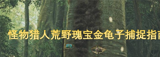 怪物猎人荒野瑰宝金龟子捕捉指南：绯红森林紫红宝石轻松入手