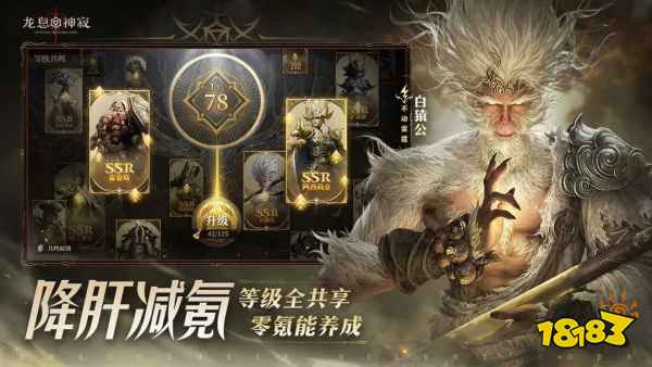 龙息神寂冰队最强阵容搭配攻略-冰队核心角色与实战技巧