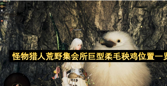 怪物猎人荒野巨型柔毛秧鸡位置全攻略 - 高清路线图及狩猎指南