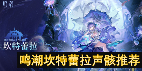 鸣潮坎特蕾拉声骸搭配攻略：幽夜隐匿之帷VS高天共奏之曲-技能组合与阵容推荐