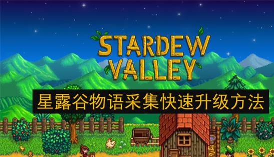 星露谷物语采集快速升级攻略：从砍树到职业选择全解析[多图]