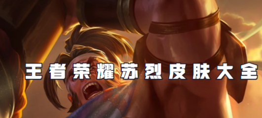 王者荣耀苏烈皮肤大全-玄武志手感炸裂&五款皮肤深度解析