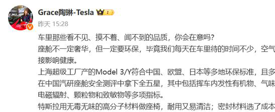 特斯拉毛坯内饰争议升级-陶琳回应：新能源车环保重于奢华